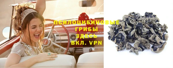кокаин колумбия Новозыбков