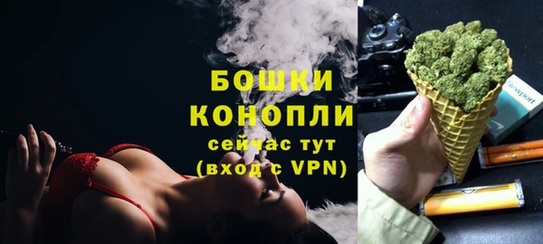 PSILOCYBIN Новодвинск