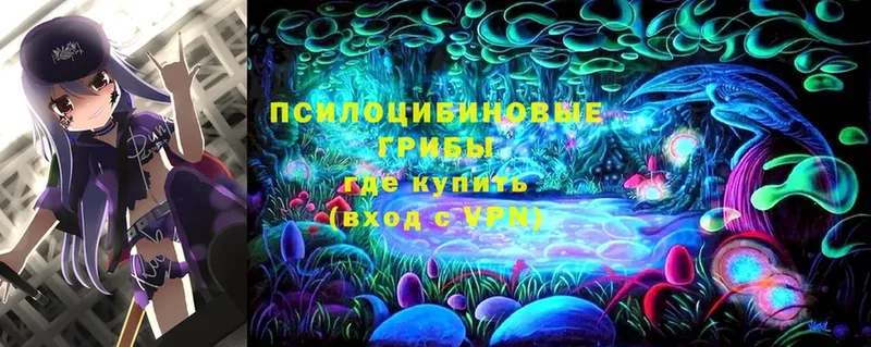 hydra рабочий сайт  Новомичуринск  Галлюциногенные грибы Psilocybe 