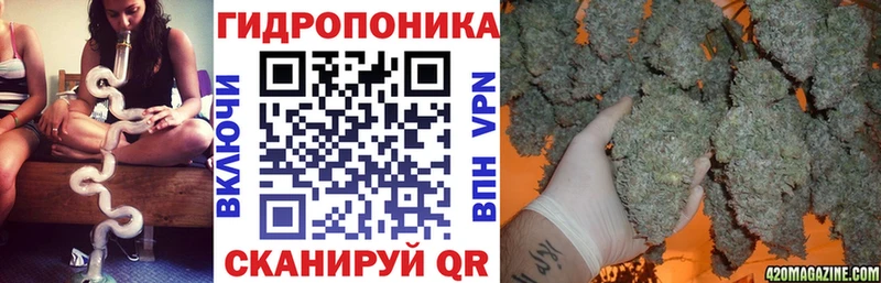 даркнет сайт  Новомичуринск  Бошки марихуана Bruce Banner 